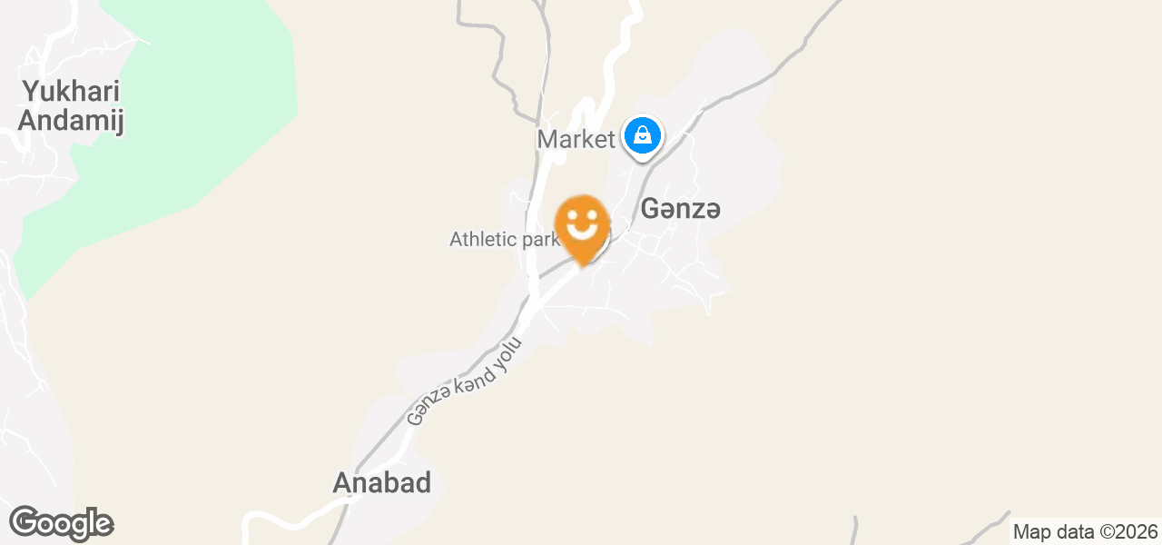 Yeni Azərbaycan Partiyası (Naxçıvan)