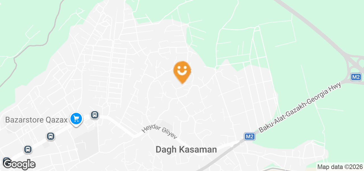 Ancient Settlement and Cemetery (Qazakh)