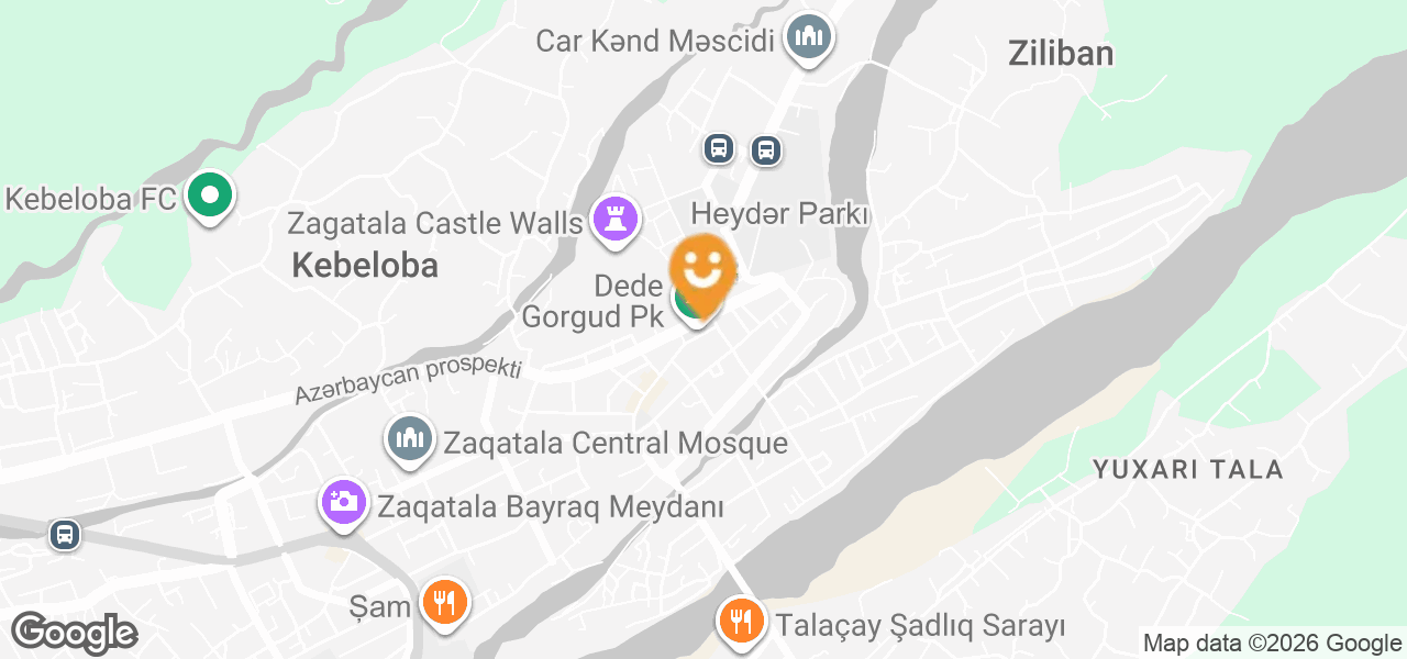 Zaqatala meydanında Şərq çinarı