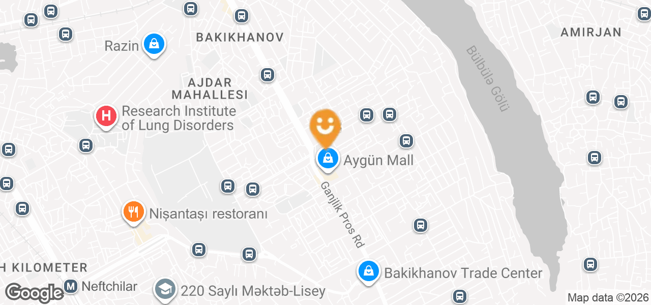 Памятник Гейдару Алиеву (Баку)